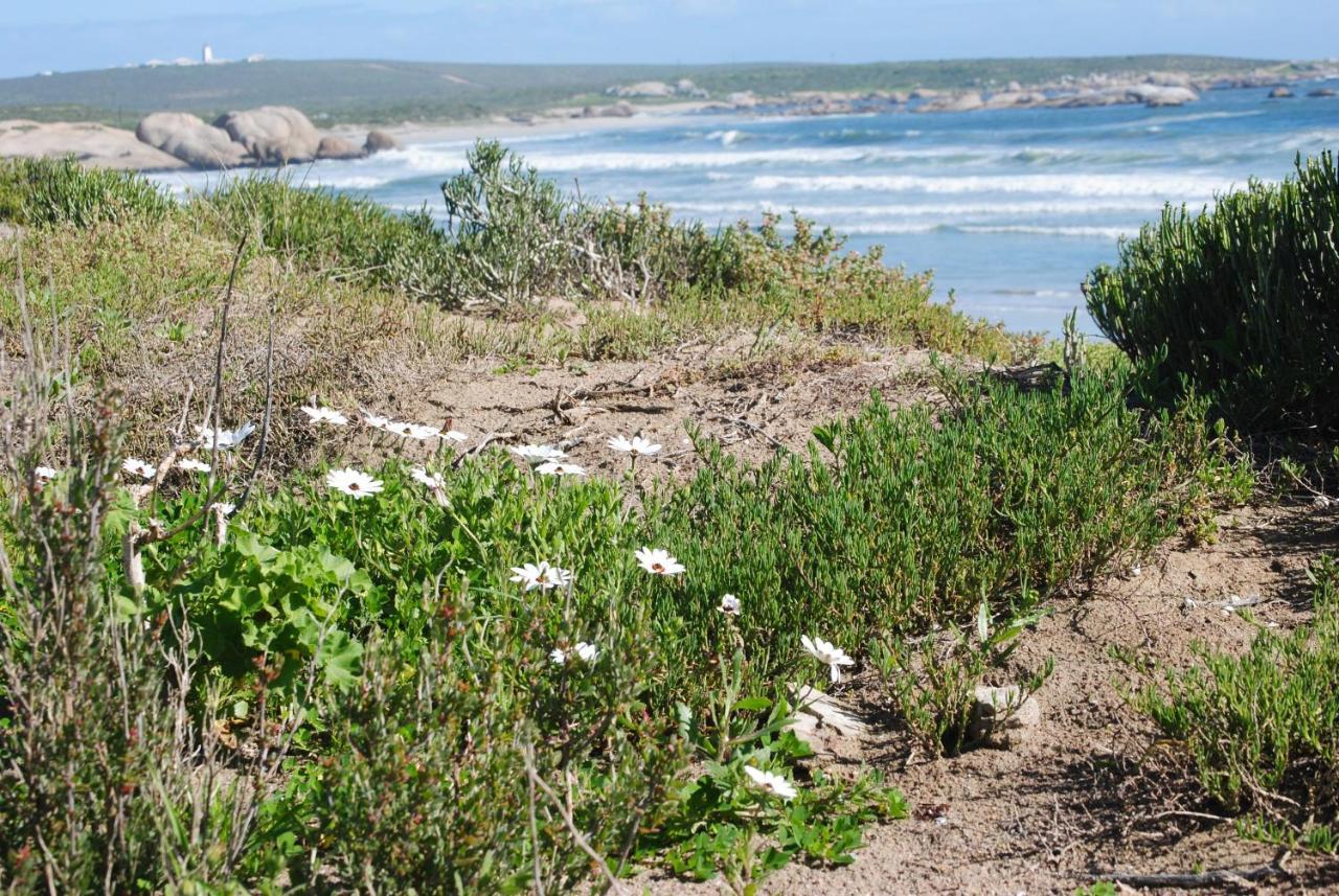 Stay At Bokkoms In Paternoster Self Catering Accommodation Экстерьер фото