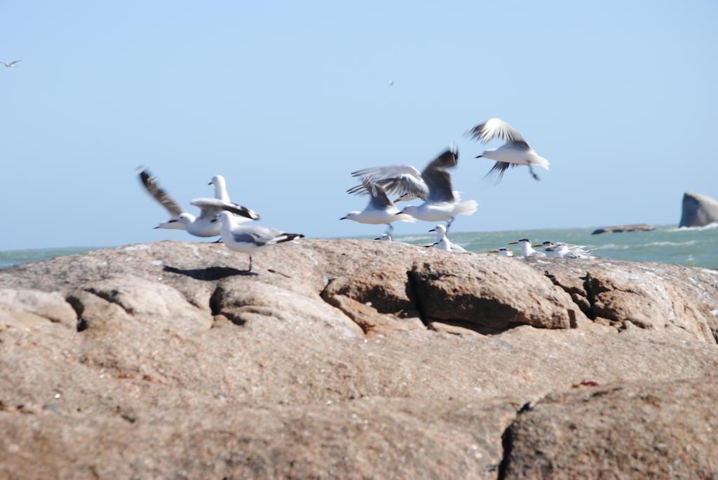 Stay At Bokkoms In Paternoster Self Catering Accommodation Экстерьер фото
