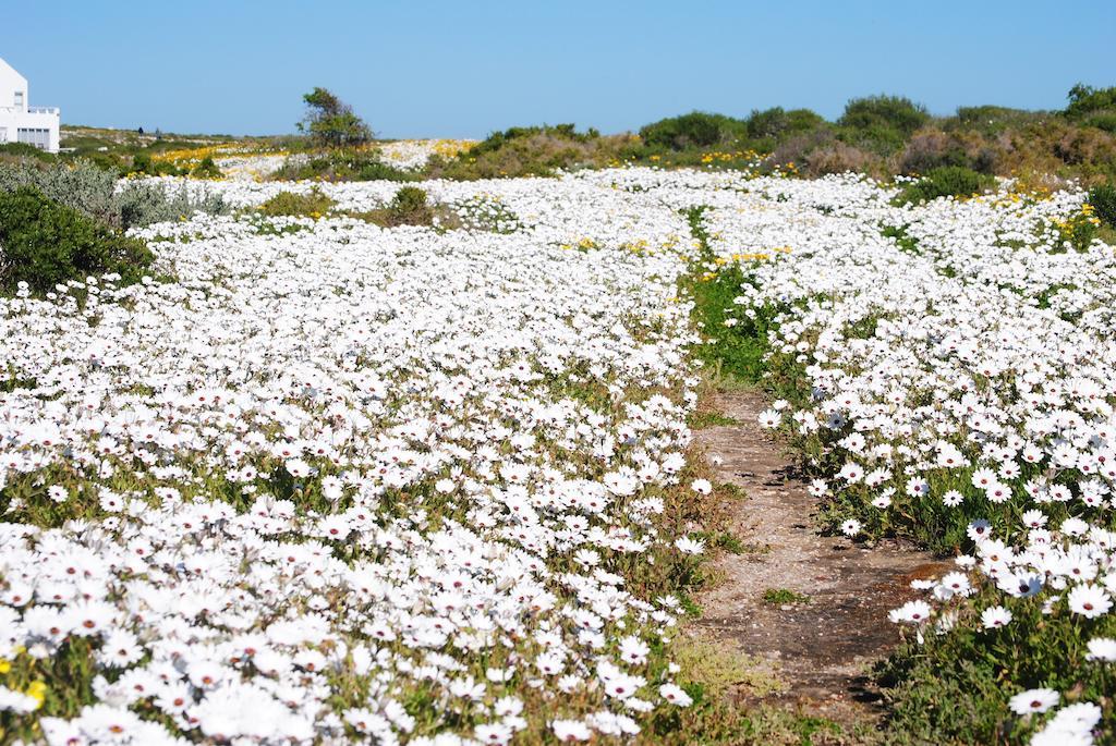 Stay At Bokkoms In Paternoster Self Catering Accommodation Экстерьер фото